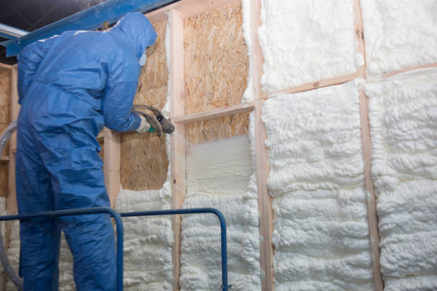 Best Spray Foam Insulation  in Cumberland, WI